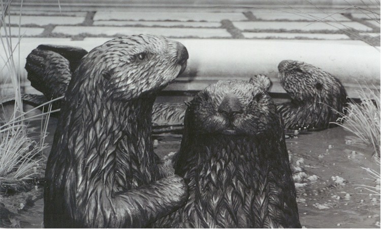 Sea Otters