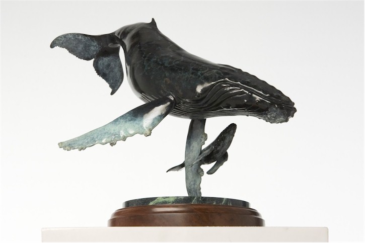 Humpback Whales  "Gentle Giant" 